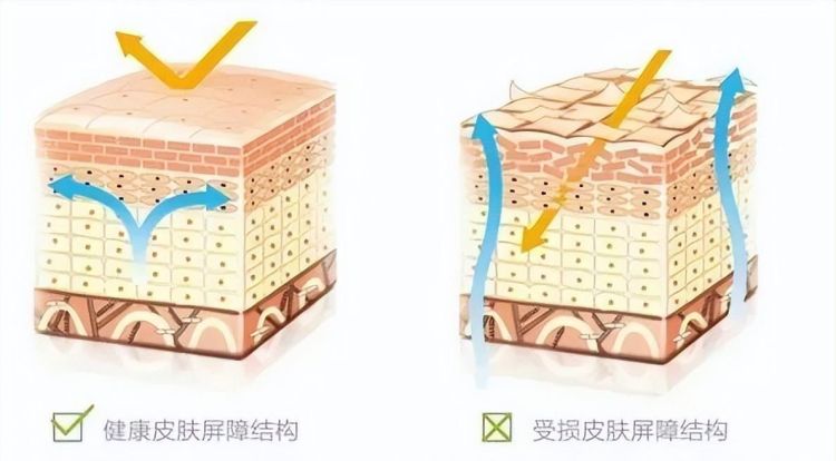 毛林林和王楚然合拍的电视剧图9