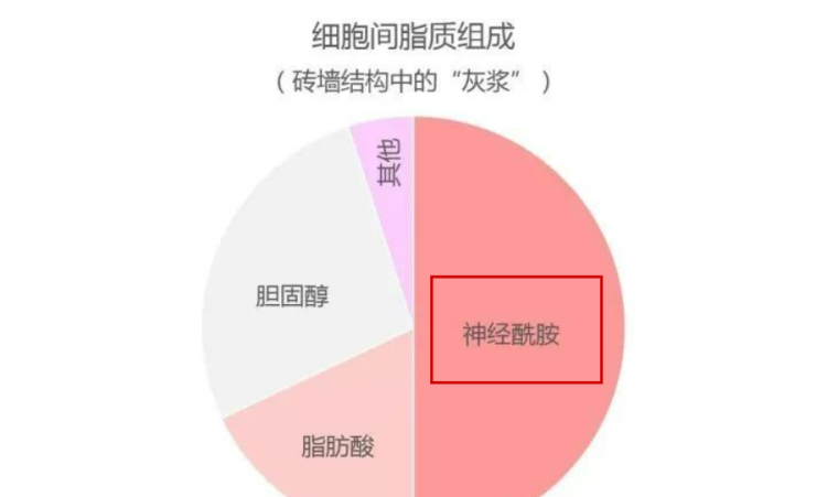 毛林林和王楚然合拍的电视剧图29