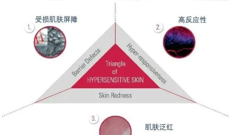 毛林林和王楚然合拍的电视剧图33