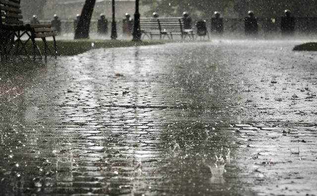 雨季到了冷柜该如何防雨防潮指南图1