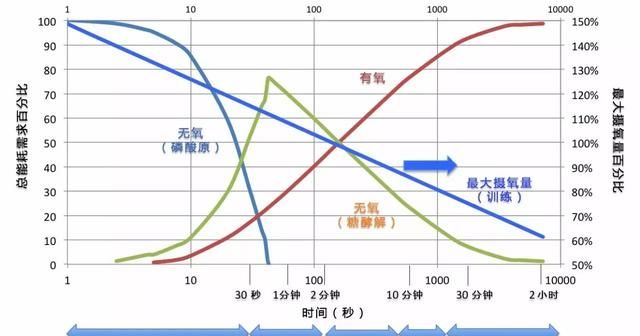 无氧运动和有氧运动的区别哪个好图10