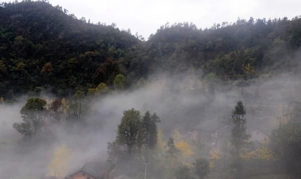 半夜下雨被吓醒的说说图1