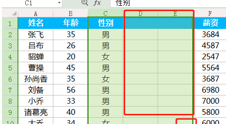 wps基础教程:3个快速调整表格的技巧图7