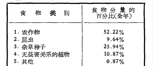 麻雀的寿命有多长死后去哪了(麻雀的寿命大约能活到多少)图4