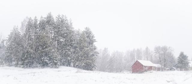 大雪节气至仲冬愈增寒,大雪节气仲冬节图6