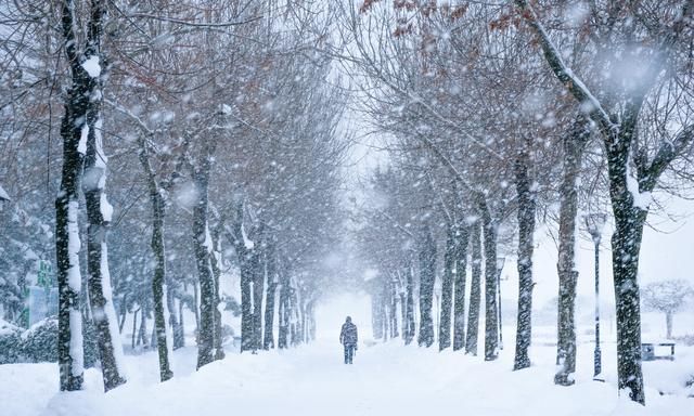 大雪节气至仲冬愈增寒,大雪节气仲冬节图7