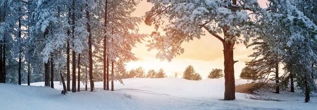 大雪节气至仲冬愈增寒,大雪节气仲冬节图9