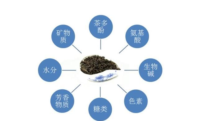 喝了隔夜茶是良药还是毒药,都说不能喝隔夜茶是真的吗图5