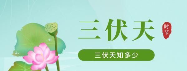 三伏的知识(资讯关于三伏你知道多少)图1