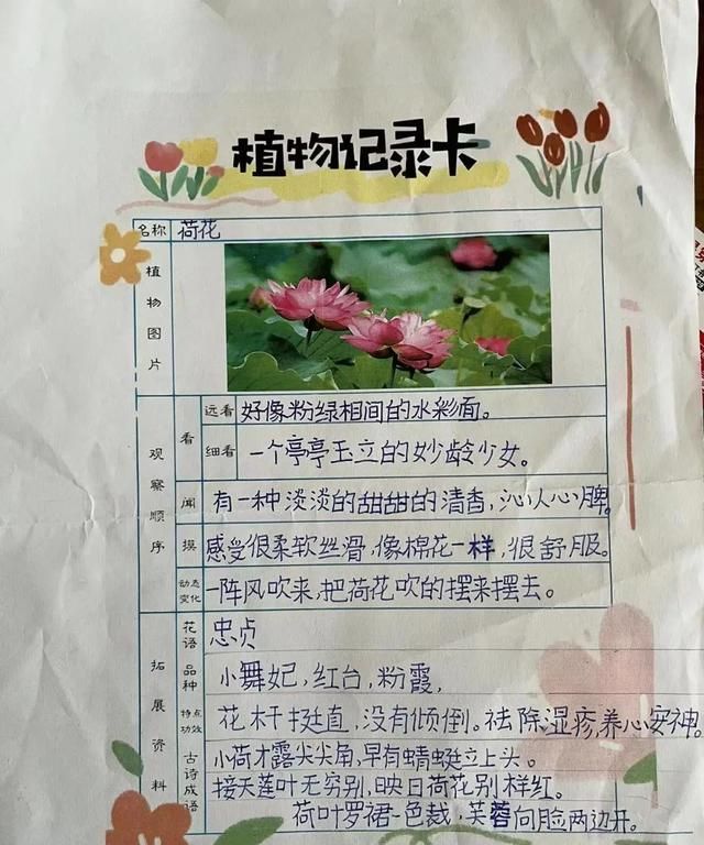 植绿护绿美化环境主题队课图56