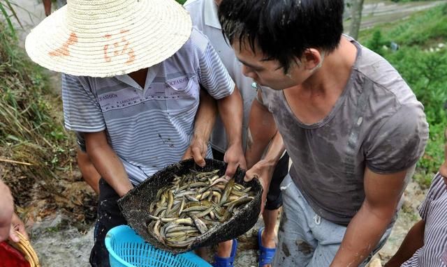 荸荠生吃好还是熟吃好?大多数人都弄错了,不懂等于白吃图8