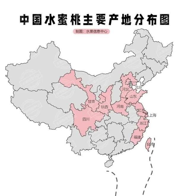 中国常见水蜜桃产地品种及上市时间图1