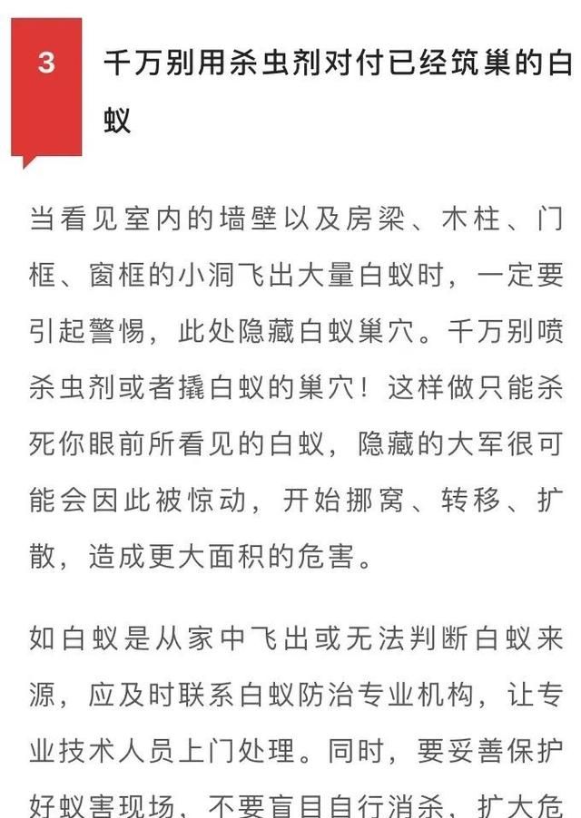 如何预防白蚁用什么药好(又到白蚁肆虐季如何预防白蚁侵袭)图5