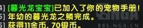 魔兽世界海岛探险任务哪里接,魔兽世界8.3海岛探险每周能打几次图9