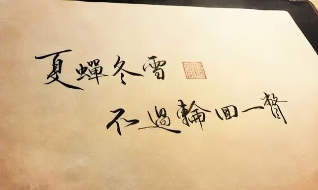 蚕宝宝是什么时候开始吐丝的?(蚕从蚕宝宝变成蚕蛹需要多少天)图7