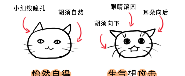 猫咪之间是如何交流的,猫咪之间会交流吗图3