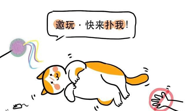 猫咪之间是如何交流的,猫咪之间会交流吗图6