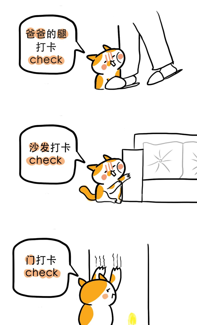 猫咪之间是如何交流的,猫咪之间会交流吗图8