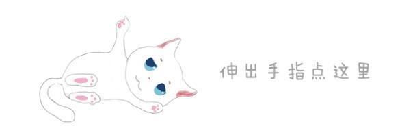 猫咪刷牙用什么好图1