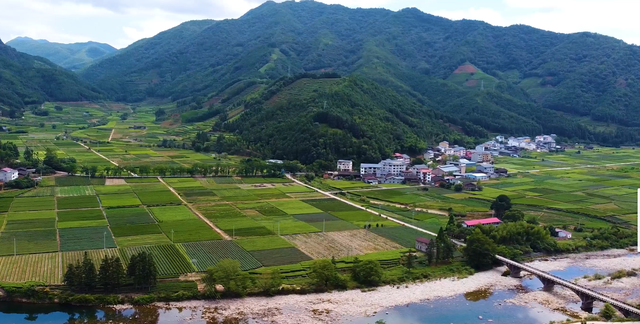 世界红茶发源地在哪图2