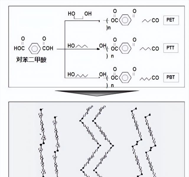 生物基纤维和生物基化学纤维(南京金羚生物基纤维有限公司)图3