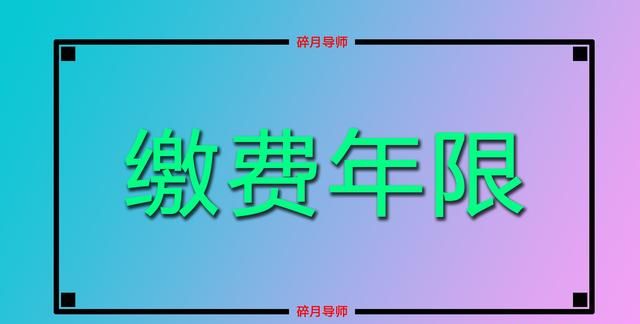 一次性补缴职工医保需要交多少钱图3