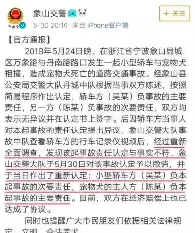 开车撞狗汽车怎么走保险图2