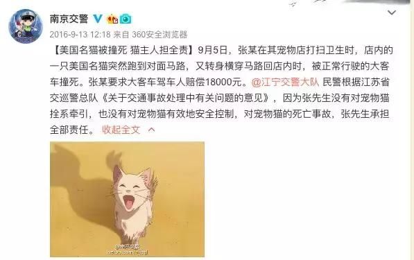 开车撞狗汽车怎么走保险图5