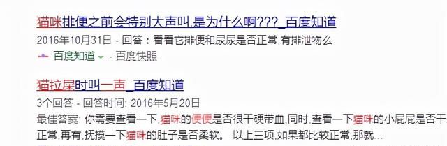 猫咪便便一声吼?可能是便秘啦吗图1