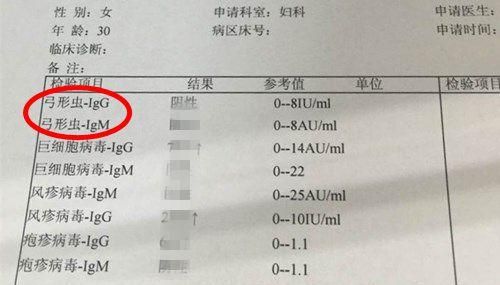 怀孕不能养猫会感染弓形虫吗,孕妇养猫如何避免感染弓形虫图5