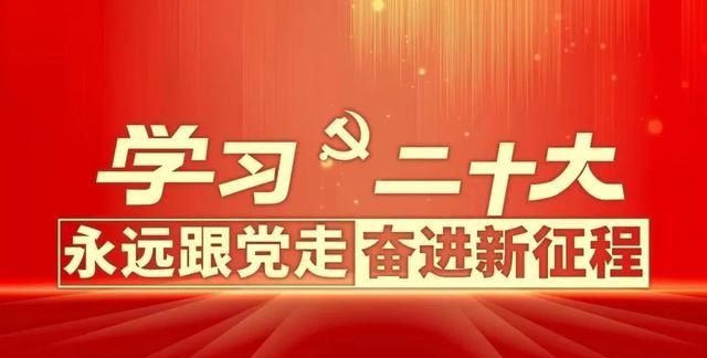 大学生社区实践计划工作指引,大学生社区实践计划总结图1