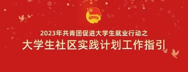 大学生社区实践计划工作指引,大学生社区实践计划总结图3