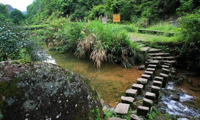 南平武夷山旅游攻略二日游(福建武夷山旅游景点攻略)图14