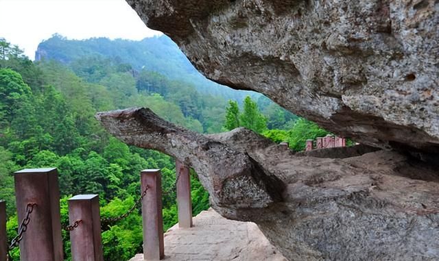 南平武夷山旅游攻略二日游(福建武夷山旅游景点攻略)图16