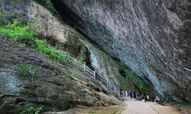 南平武夷山旅游攻略二日游(福建武夷山旅游景点攻略)图17