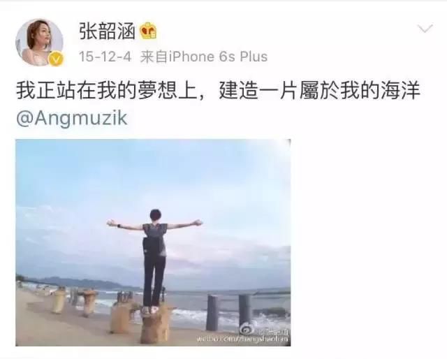 张韶涵买了一个什么岛多少钱图11