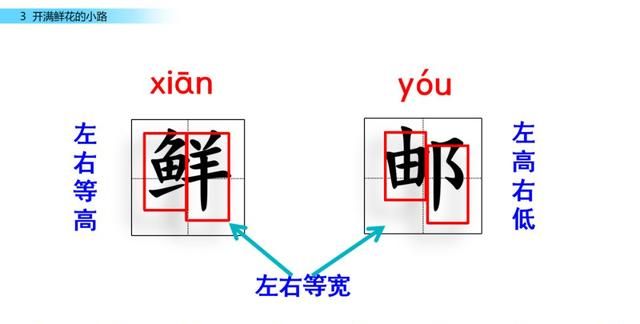 二年级下册语文第三课开满鲜花的小路讲解图19