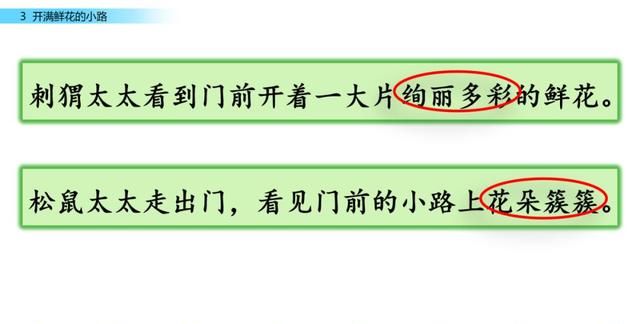 二年级下册语文第三课开满鲜花的小路讲解图22