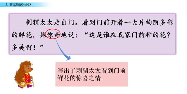 二年级下册语文第三课开满鲜花的小路讲解图51