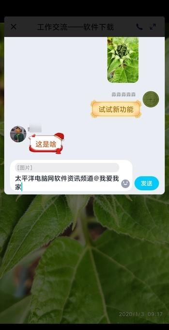 手机qq升级群人数在哪设置,qq群聊最新更新图4