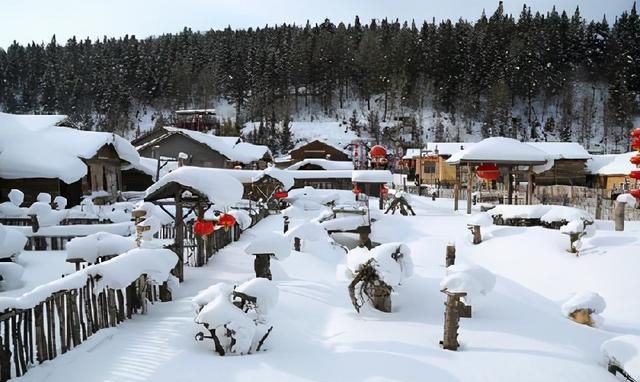 高晓松和雪村大学,高晓松雪村图3