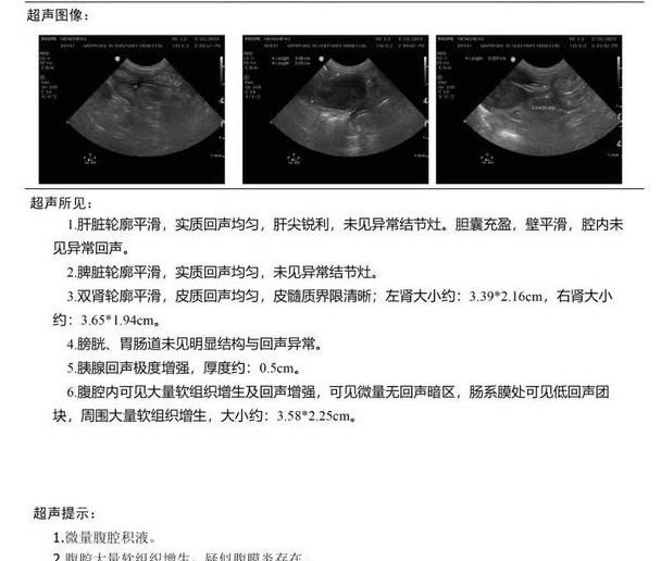 如何读懂犬猫生化指标,犬猫常见贫血类型对应的指标变化图4