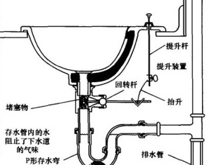 黄鳝能通厨房的下水道吗,厨房下水道堵了用黄鳝可以吗图4