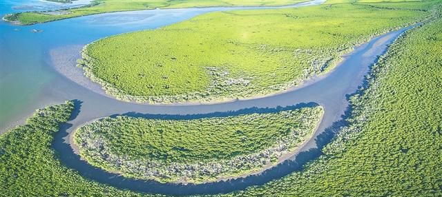 海南的珍珠海岸在哪里图3