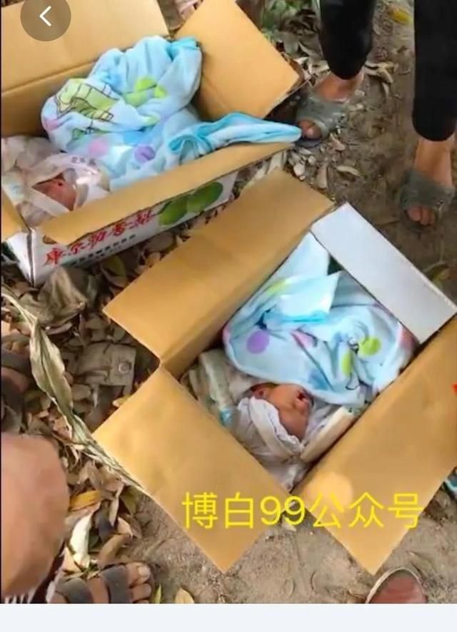 父母有案底孩子受牵连；孩子可以不赡养父母…颠覆认知的法律知识图3