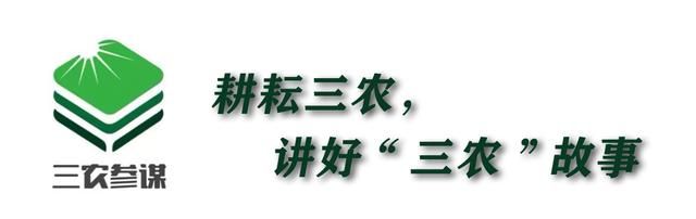 非农子女继承农村父母房屋遗产新政策图8