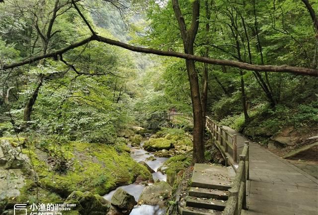 西安秦岭哪个峪口免费又风景美图1