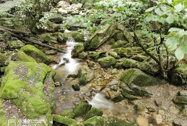 西安秦岭哪个峪口免费又风景美图9