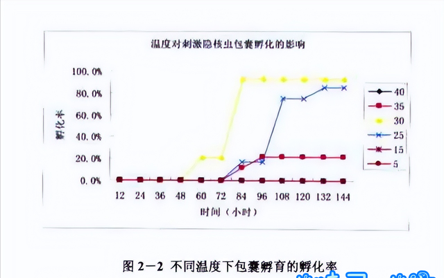 海缸白点爆发后怎么办(海缸水腥臭怎么解决)图4