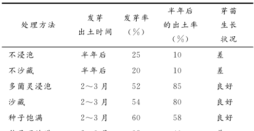 重楼的种植技术和病虫害防治(重楼种子怎么快速催芽成活率最高)图1